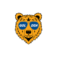 Wne Sticker by Western New England University