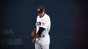 Pro GIF by USA Baseball