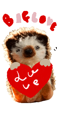 patissierharinezumi love smile hedgehog biglove Sticker