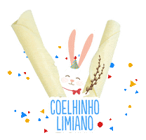 queijolimiano carnaval mascara diversao crianças Sticker