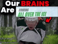 Minnesota Wild Hockey GIF