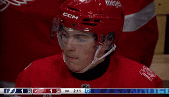 National Hockey League No GIF by NHL