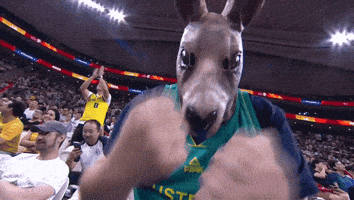 Lets Go Fight GIF by DAZN