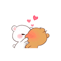 Valentines Day Love Sticker by Seu Filtro.ar