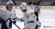 Regular Season Sport GIF by NHL