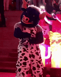 Aggies Bigblue GIF