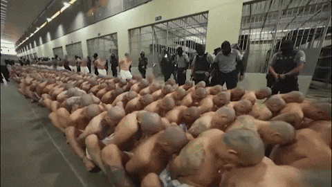 henriqueclaudino1 giphyupload GIF