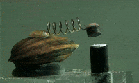 GIF by Alex Boya