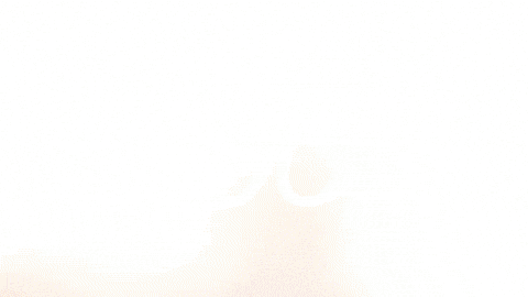 Celebration Goal GIF by FC Red Bull Salzburg