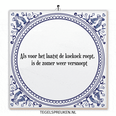 Humor Nl GIF by Tegelspreuken.nl