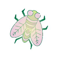 DoozyPress fly camping bug bugs Sticker