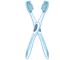 OralB_Brasil juntos casal oralb oral-b Sticker