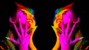 Punk Rock Star GIF by Surfbort