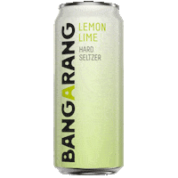 Lemon Lime Sticker by Bangarang Hard Seltzer