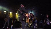Country Music Singer GIF by Elvie Shane