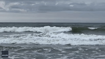 Acrobatic Shark Photobombs Surfer in South Carolina's Myrtle Beach