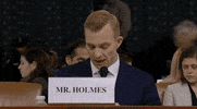 news impeachment impeachment inquiry opening statement david holmes GIF