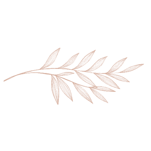 esthethic giphyupload nature green natural Sticker
