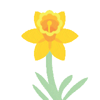 Ccq Sticker by Cancer Council Queensland