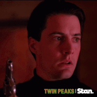 twin peaks s1 GIF by Stan.
