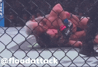 Ufc GIF