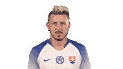 Slovakia Sticker by Slovensky futbalovy zvaz