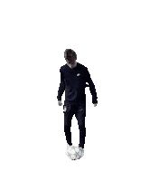 Panna Sticker by REAL FUT CARD