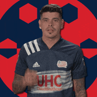 New England Revolution GIF by Major League Soccer