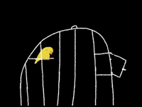 Break Free Bird GIF by Barbara Pozzi