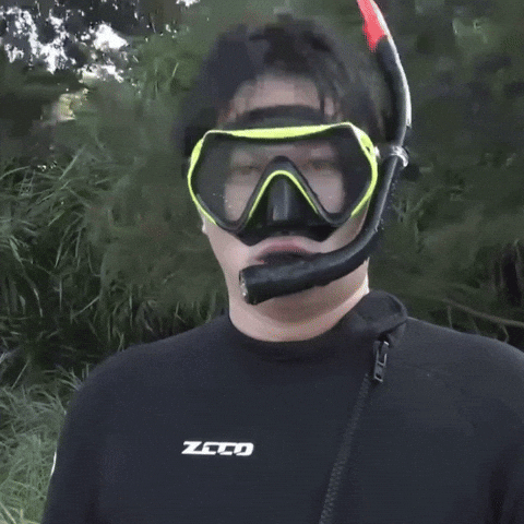 Diver Yes GIF
