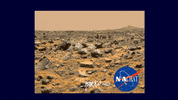 Cat Nasa GIF by marko