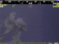 monsters GIF by Digg