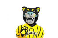 How Are You Hello GIF by UW-Milwaukee