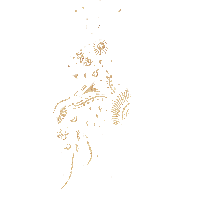 Woman Horse Sticker by Orbit Creative