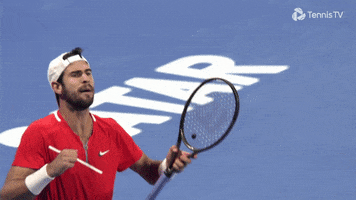 Celebrate Lets Go GIF by Tennis TV