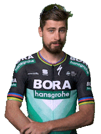 Blinking Peter Sagan Sticker by Specialized Bicycles