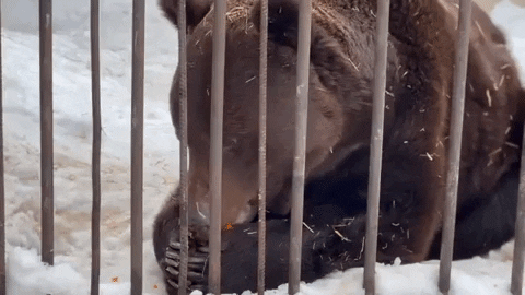 e-Kazan giphyupload GIF