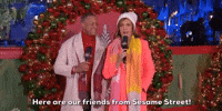 Friends From Sesame Street