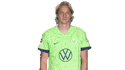 In Love Football Sticker by VfL Wolfsburg