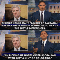 the daily show lol GIF by The Daily Show with Trevor Noah
