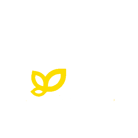 Logo Lemon Sticker by Citricos La Paz