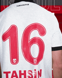 King Of The North GIF by SAMSUNSPOR