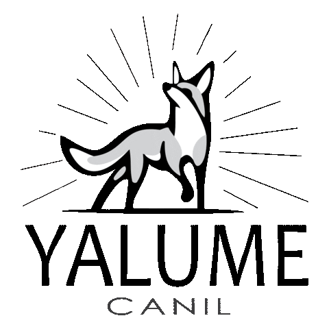 canilyalume dog cachorro border laika Sticker