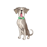 Ledog Sticker by Vida Bull
