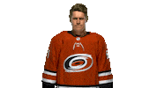 Jake Gardiner Sticker by Carolina Hurricanes