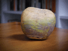 turnip hop tu naa GIF