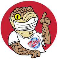 Wink Gomocs Sticker by Florida Southern College