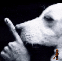 Silence Shush GIF