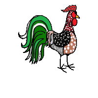 Rooster Chickens Sticker