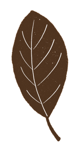 Fall Autumn Sticker by Daniela Nachtigall